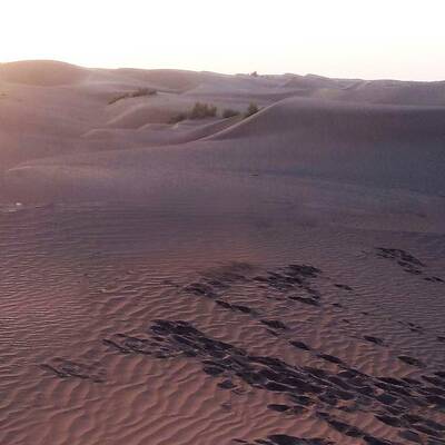 Halvan Desert